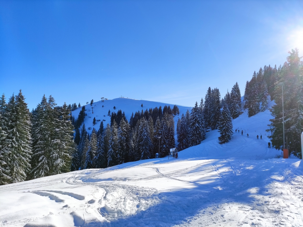 Wanderung Stolzenberg: Rechts der Weg. Hinten der Roßkopf