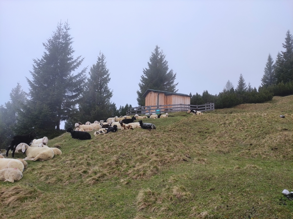 Wanderung Bruggerdenkmal: Wanderung Bruggerdenkmal: Strießnighütte