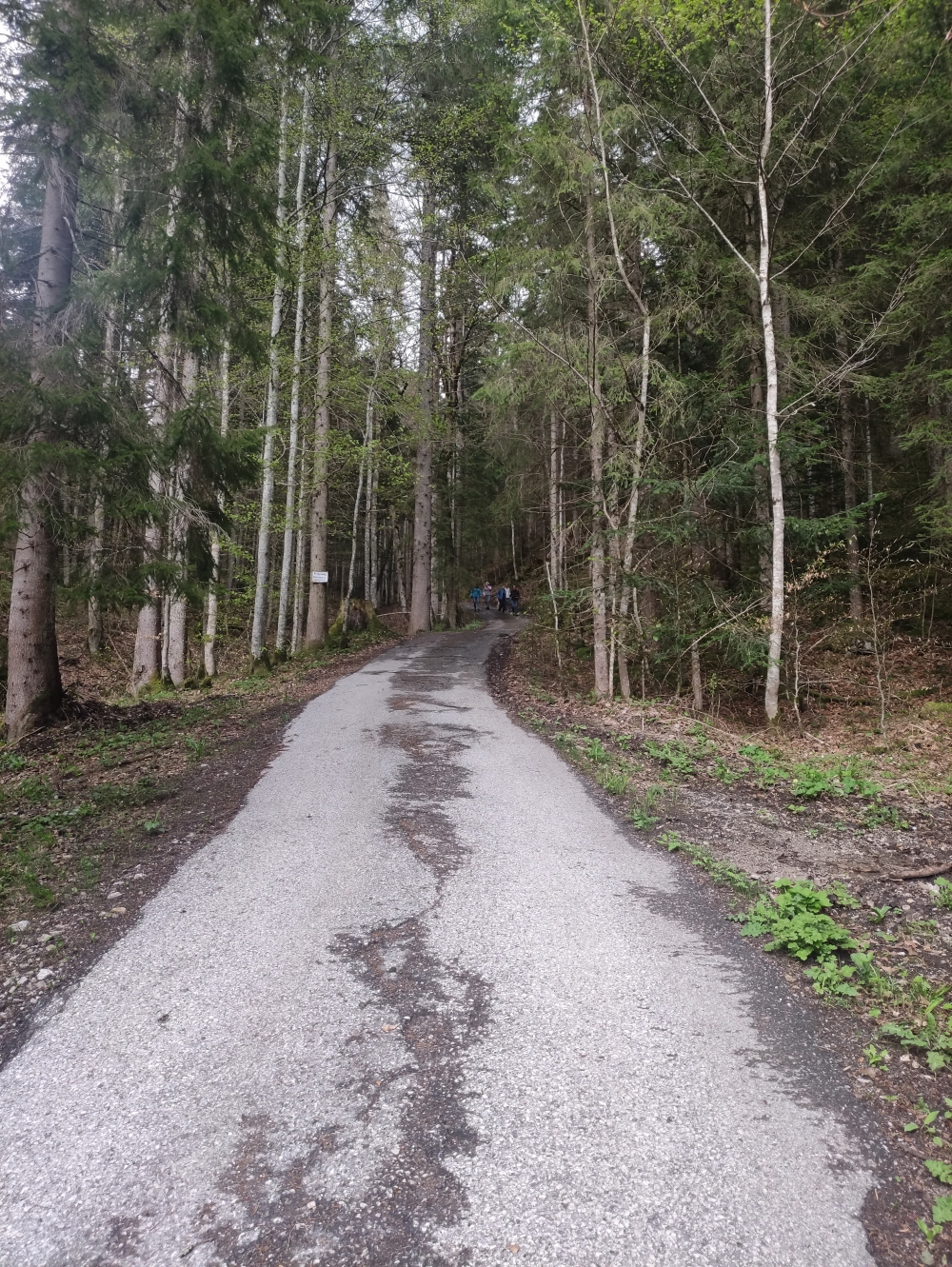 Wanderung Stümpfling: Steile Teerstraße