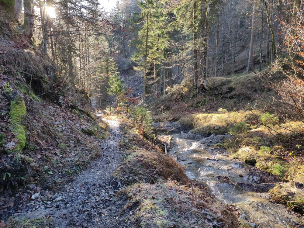 Wanderung Stuhlkopf: Am Kleiner Wappbach entlang