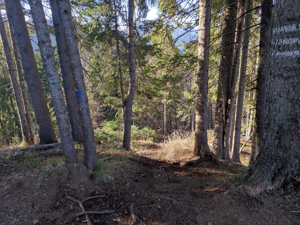 Wanderung Stuhlkopf: Blaue Punkte weisen den Weg