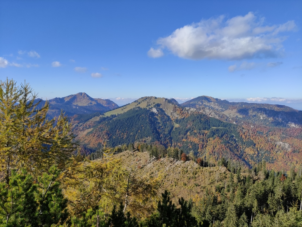 Wanderung Sulzgrabenkopf: Wanderung Sulzgrabenkopf: Blick zum Hochgern, Haaralmschneid und Hochfelln (von links nach rechts) (Sulzgrabenkopf)