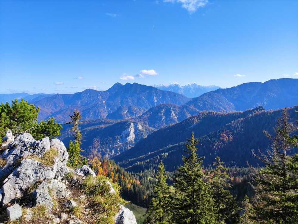 Wanderung Sulzgrabenkopf: Wanderung Sulzgrabenkopf: Blick zum Hochkalter zwischen Sonntagshorn (links) und Wildalphorn (rechts) (Sulzgrabenkopf)