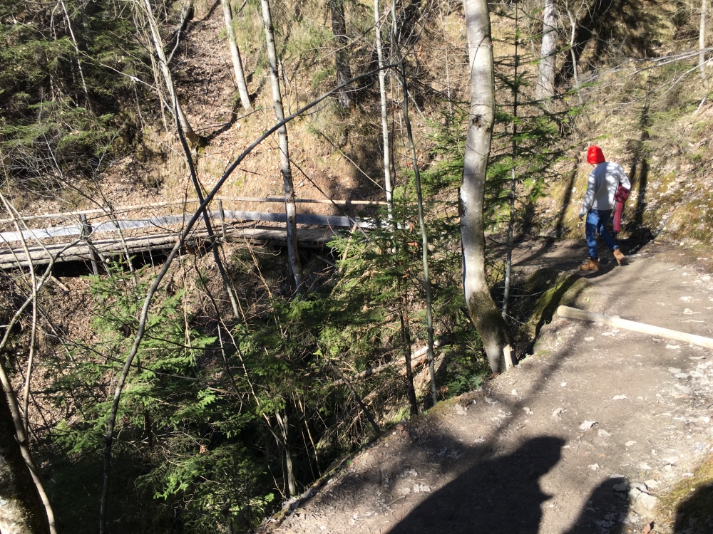 Wanderung Tannenhütte: Abstieg in den Kesselgraben zur Schalmeischlucht