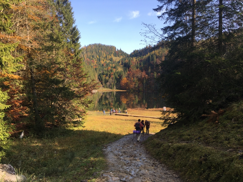 Wanderung Taubensee: Kurz vor dem Taubensee