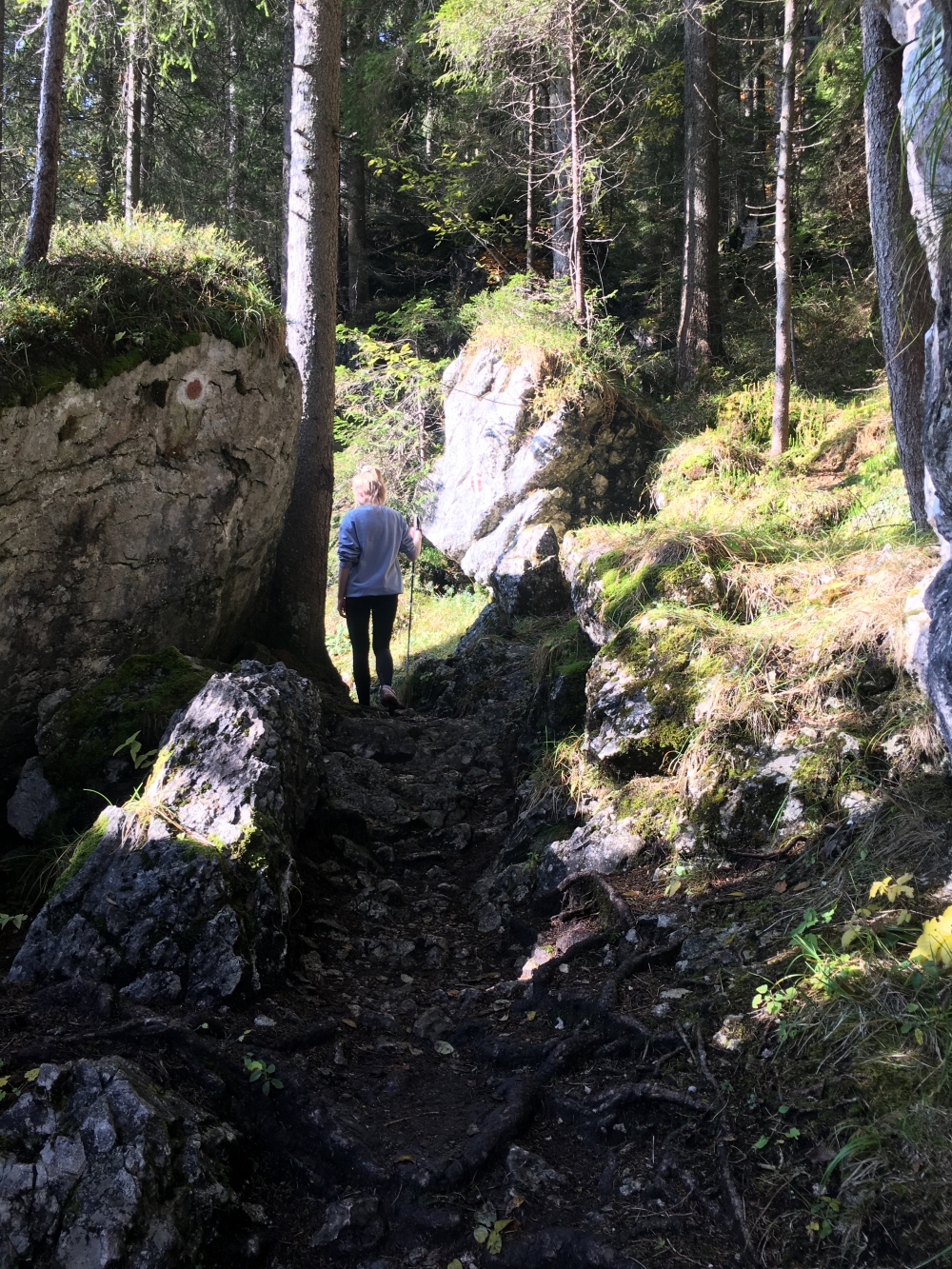 Wanderung Taubensee: Wanderung Taubensee: Am Nordufer entlang (Taubensee)