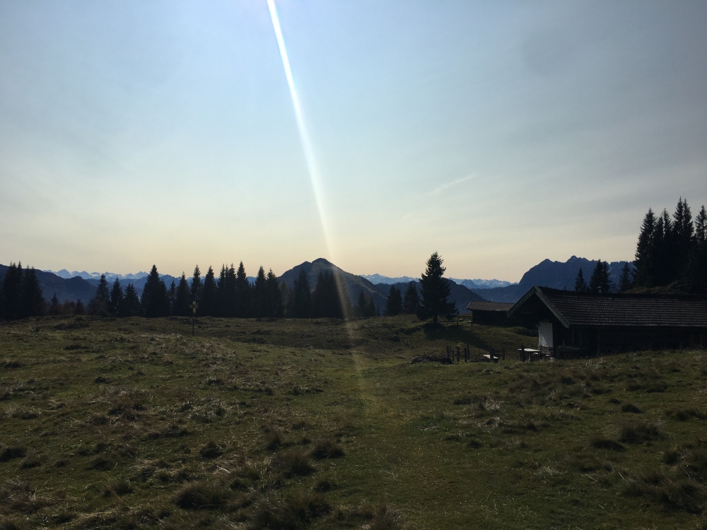 Wanderung Taubensee vom Schafflerhof: Auf der Sauermöser Alm