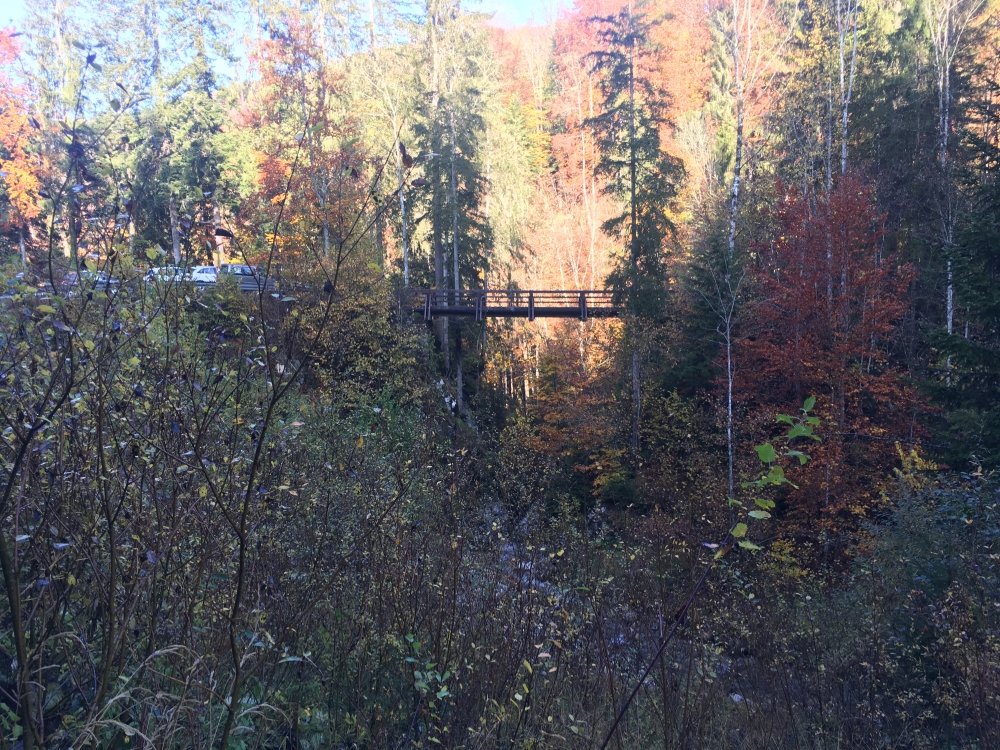 Wanderung Taubensee von der Hohen Brücke: Bei der Hohen Brücke startet der Weg