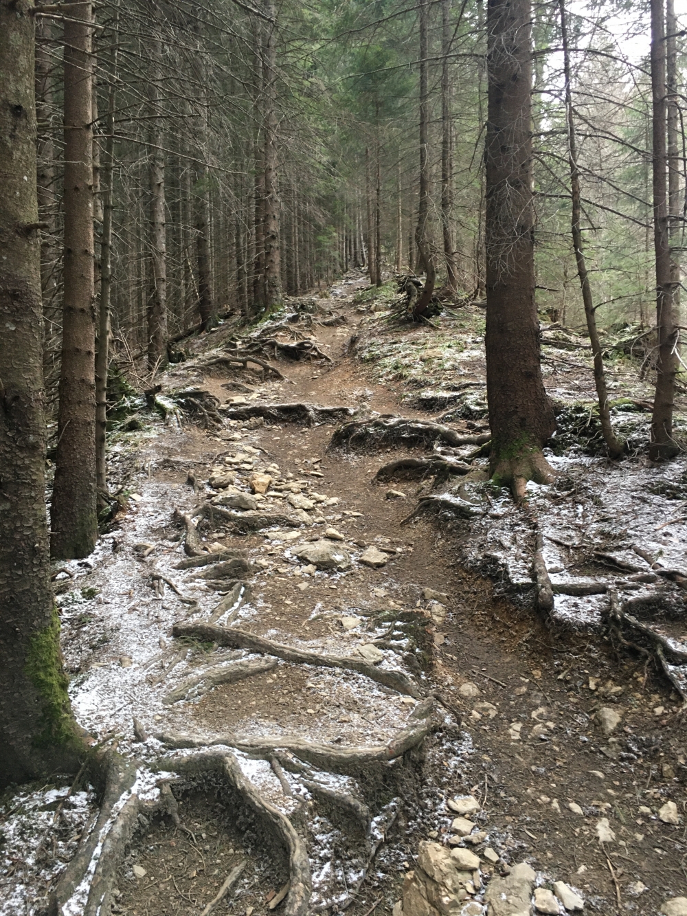 Pürschlinghaus -> Gasthof Schleifmühle: Über den Plattberggrat