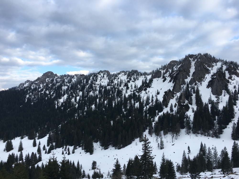 Sonnenberg -> Berggasthof Kolbenalm: Blick auf Sonnenberg (links) und Pürschling (rechts)
