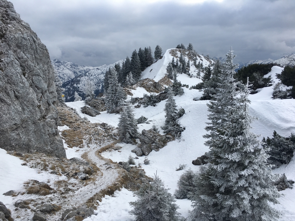 Wanderung Teufelstättkopf von Linderhof: Wanderung Teufelstättkopf von Linderhof: Abstieg vom Teufelstättkopf mit Blick auf den Latschenkopf