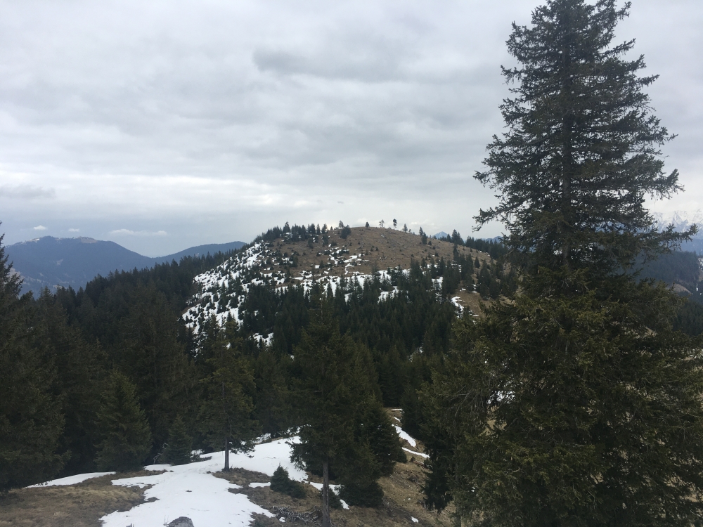 Rosengarten -> Schartenköpfl: Blick auf den Rosengarten