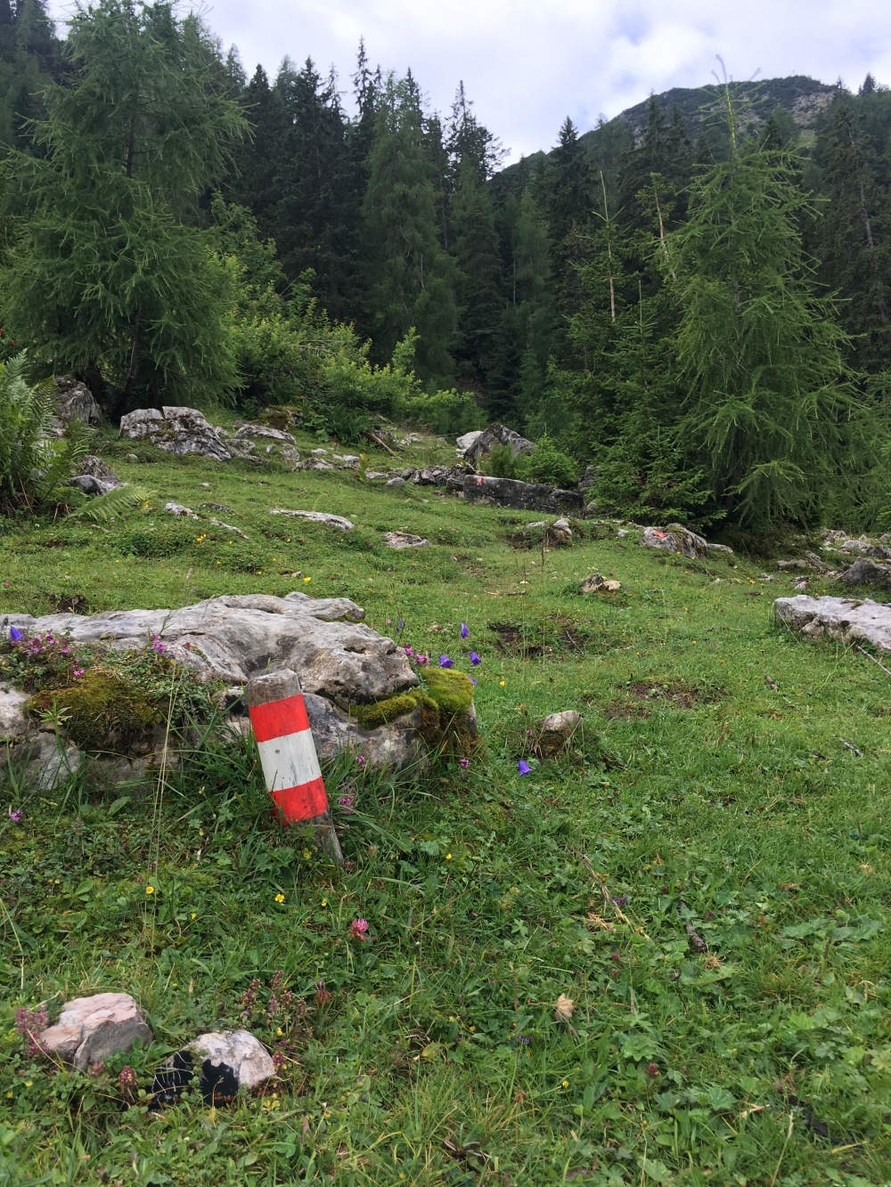 Wanderung Veitsbergkamm: Markierte Pfeiler helfen den Weg bei der Grabenbergalm zu finden.