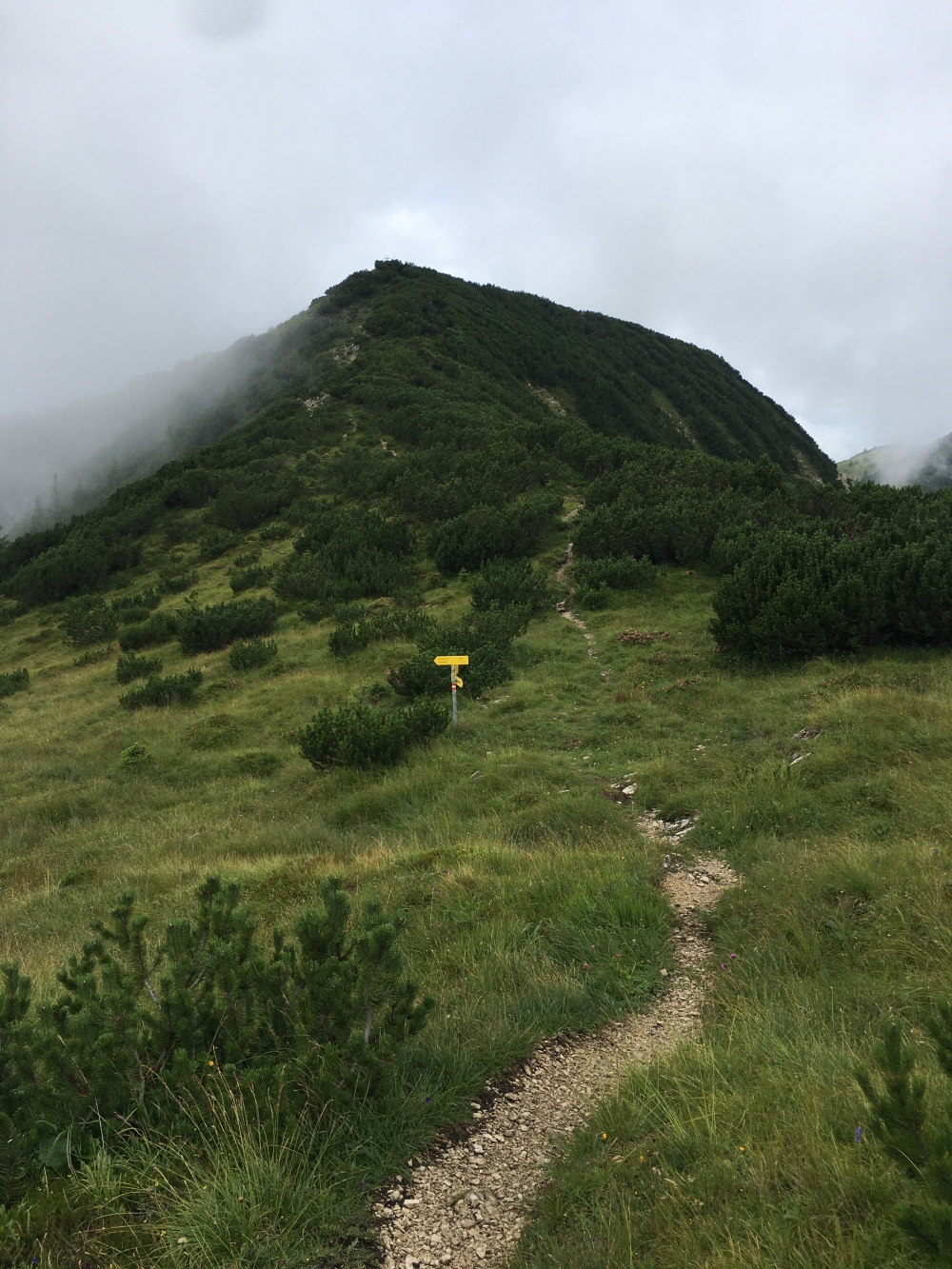 Wanderung Veitsbergkamm: Geradeaus zum Frechjoch