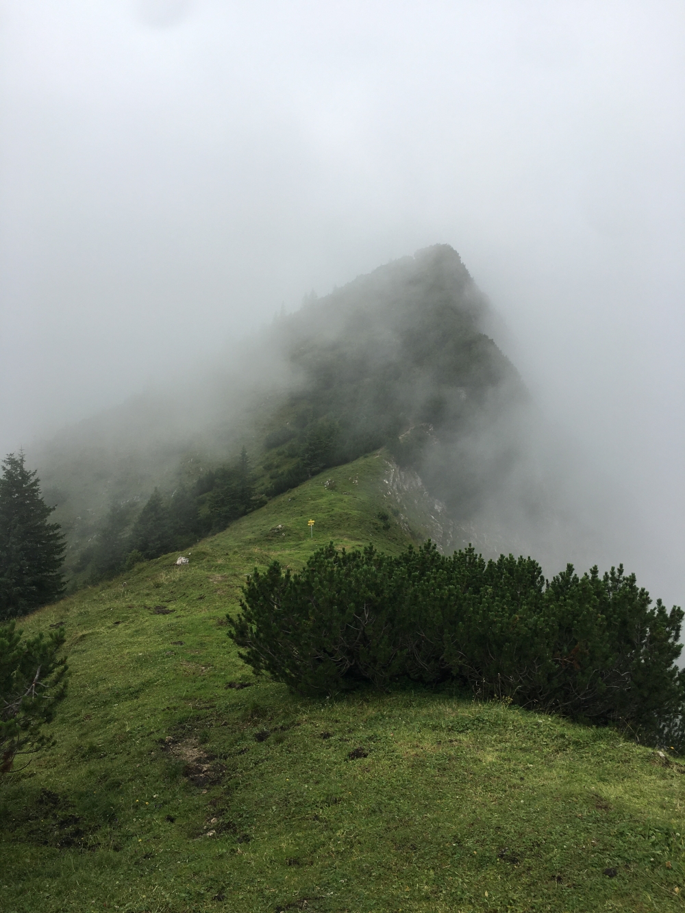 Wanderung Veitsbergkamm: Sattel zwischen Frechjoch und Thalerjoch