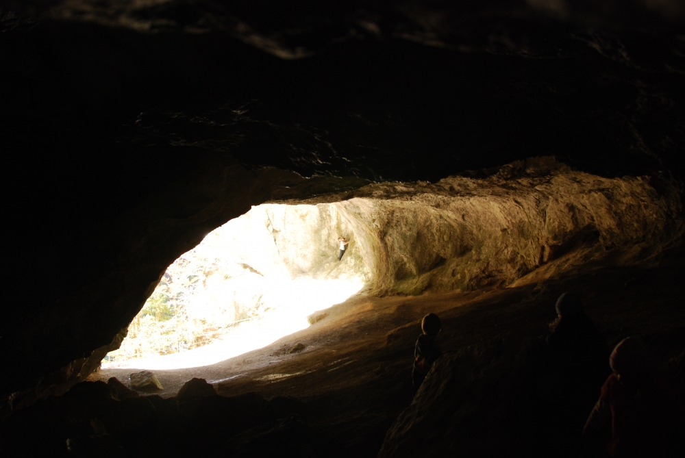 Wanderung Tischoferhöhle: Wanderung Tischoferhöhle: Blick aus der Höhle zum Eingang (Tischoferhöhle)