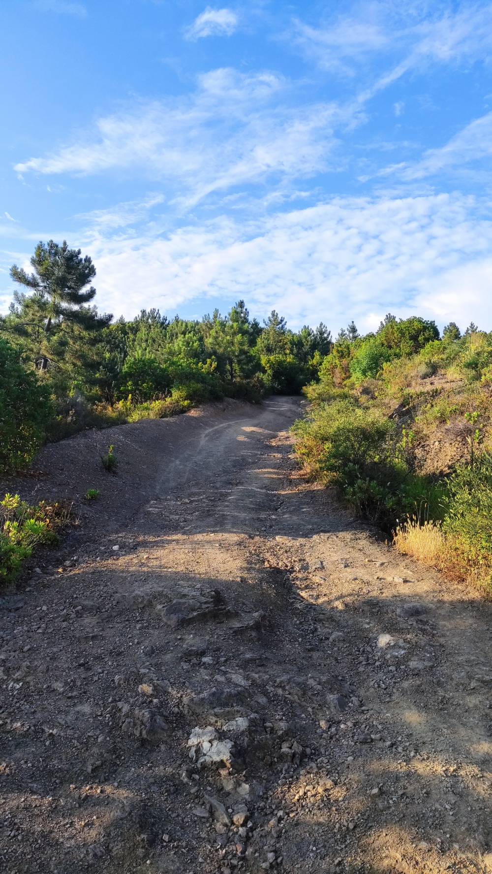 Wanderung Torre Punta Baffe: Zunächst über einen breiten Fahrweg