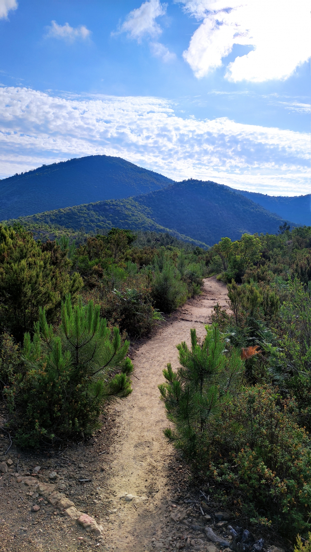 Wanderung Torre Punta Baffe: Kammweg
