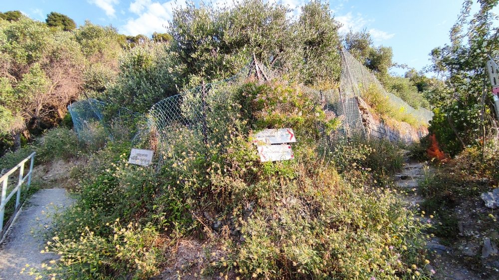Wanderung Torre Saracena Punta Manara: Weggabelung