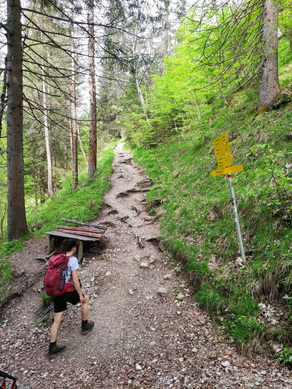 Wanderung Mariandlalm: Wanderung Mariandlalm: Vom Parkplatz kommend hier links von der Forststraße auf den Steig