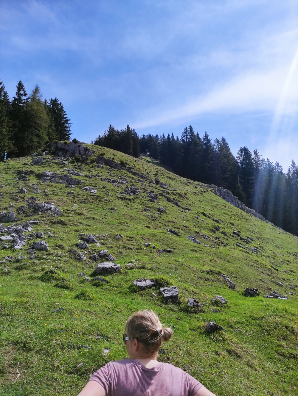 Wanderung Trainsjoch über Saurüssel: Über kaum ausgetretene Wiesenpfade