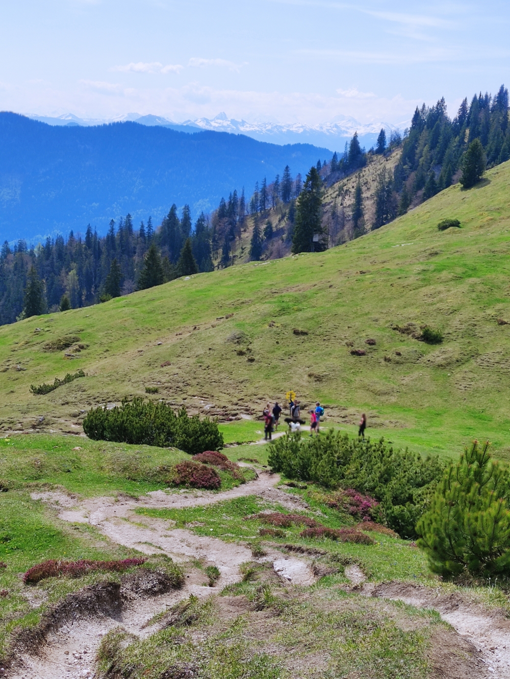 Wanderung Trainsjoch über Saurüssel: Sattel