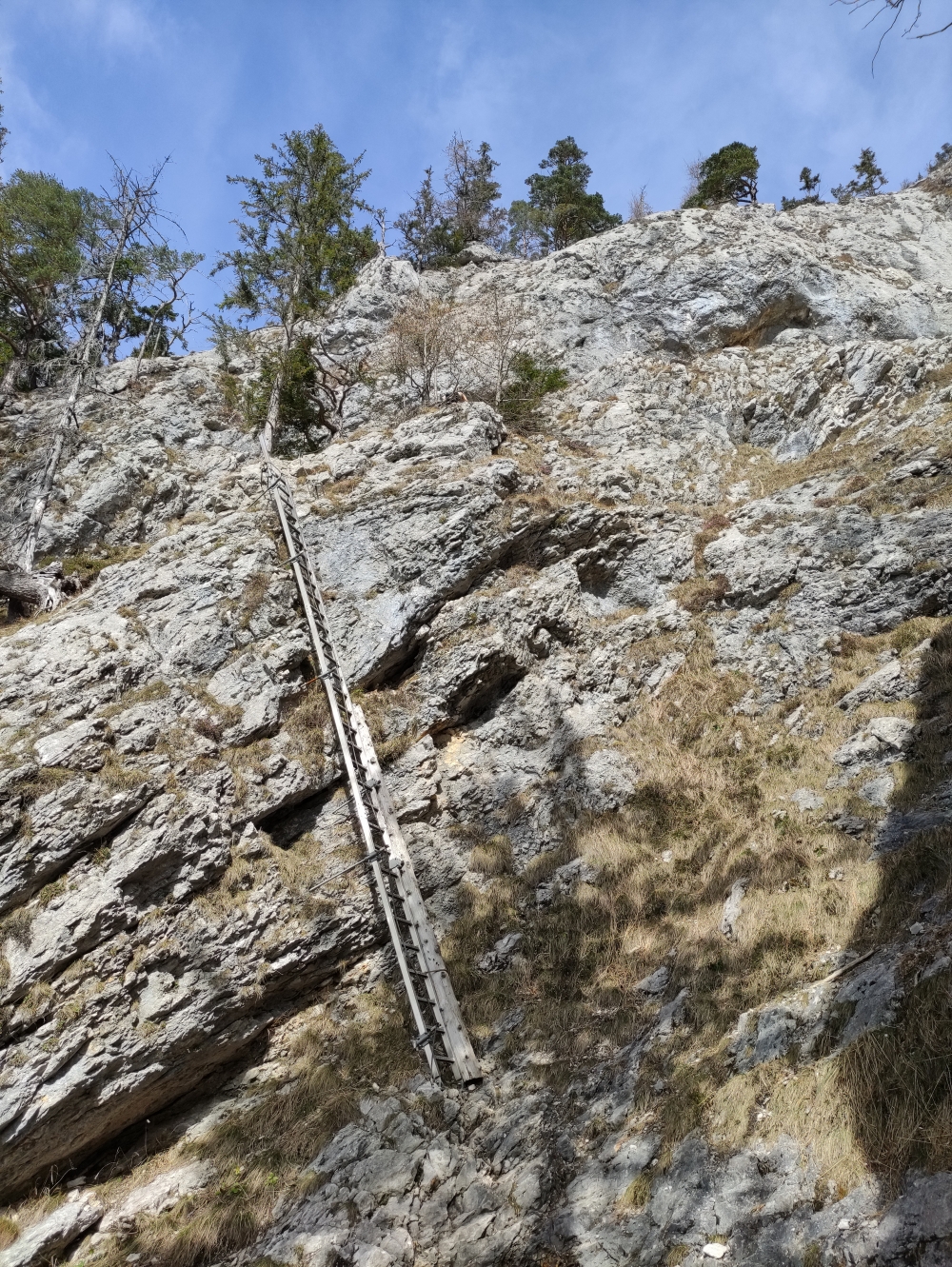 Wanderung Traunstein: Die Leiter