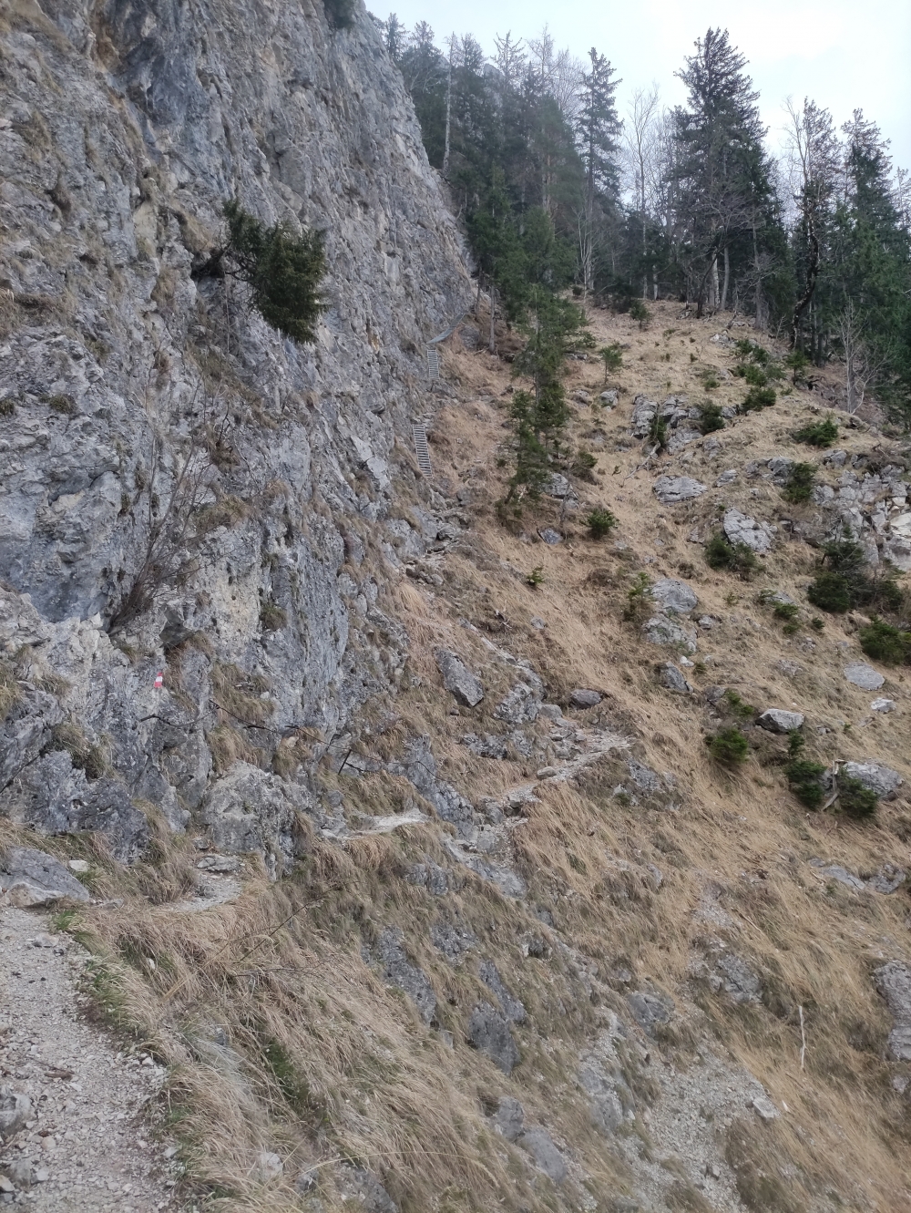 Wanderung Traunstein: Leitern