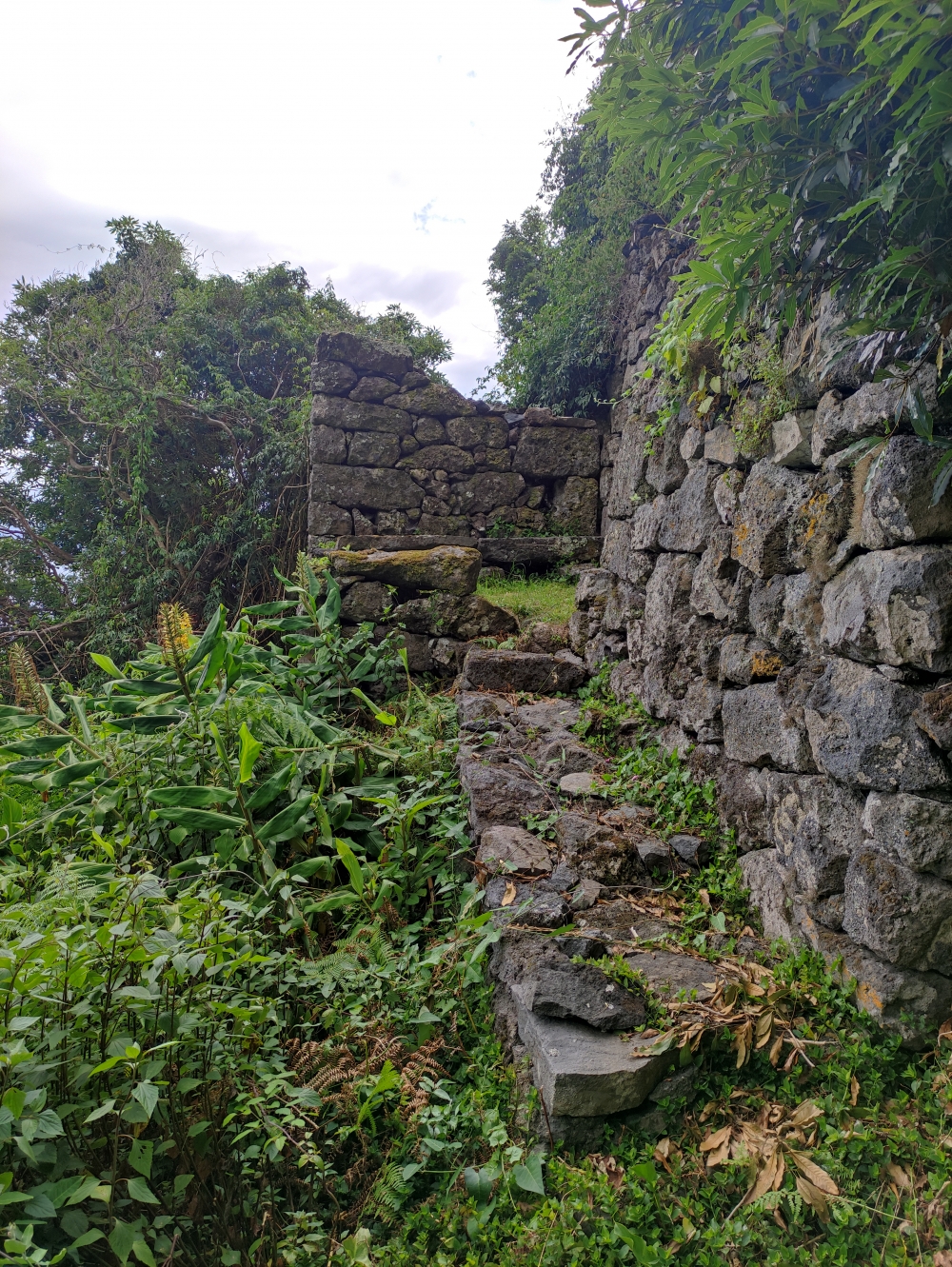 Wanderung Trilho das Fontes: Alte Mühle