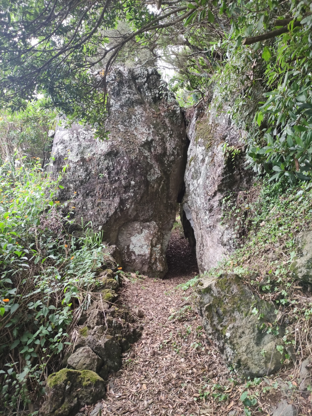 Wanderung Trilho das Fontes: Kriechstelle