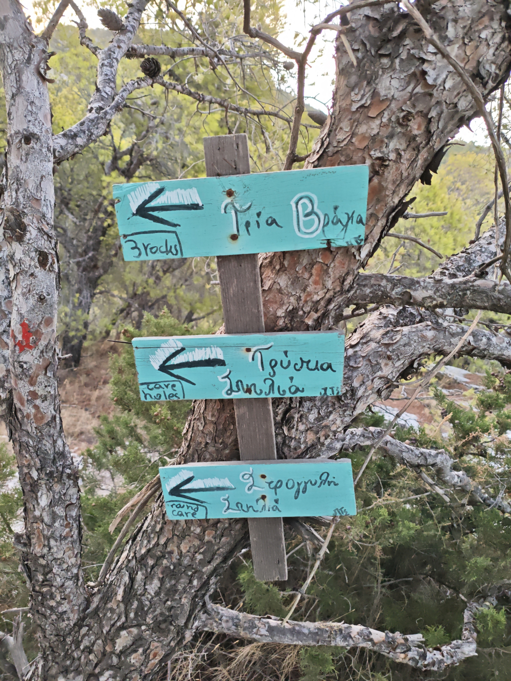 Wanderung Trypia Spilia: Wegweiser 