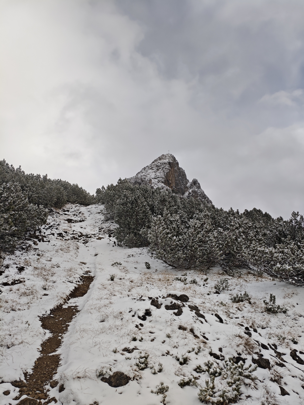 Wanderung Tschirgant: Durch die Latschen