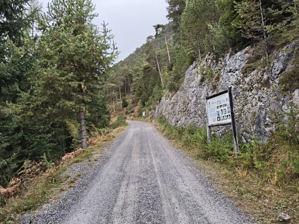 Wanderung Tschirgant: Tafel des Geo Lehrpfades