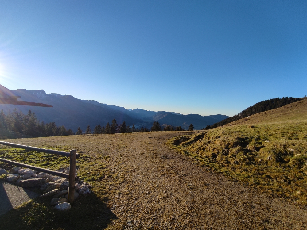 Bike & Hike Türkenköpfl: Breite Forststraße für Bike & Hike