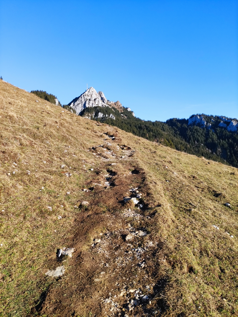 Bike & Hike Türkenköpfl: Panoramaweg