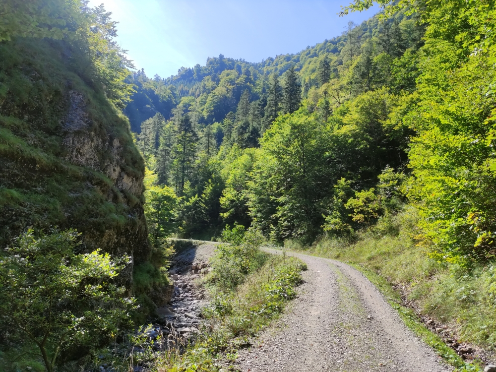 Bike & Hike Unterberghorn: Am Niederhausertalbach entlang