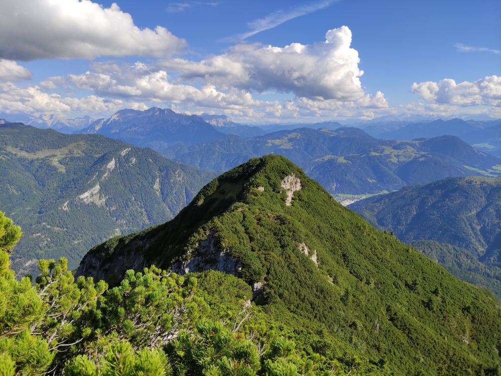 Bike & Hike Unterberghorn: Ein schmaler Pfad führt durch die Latschen