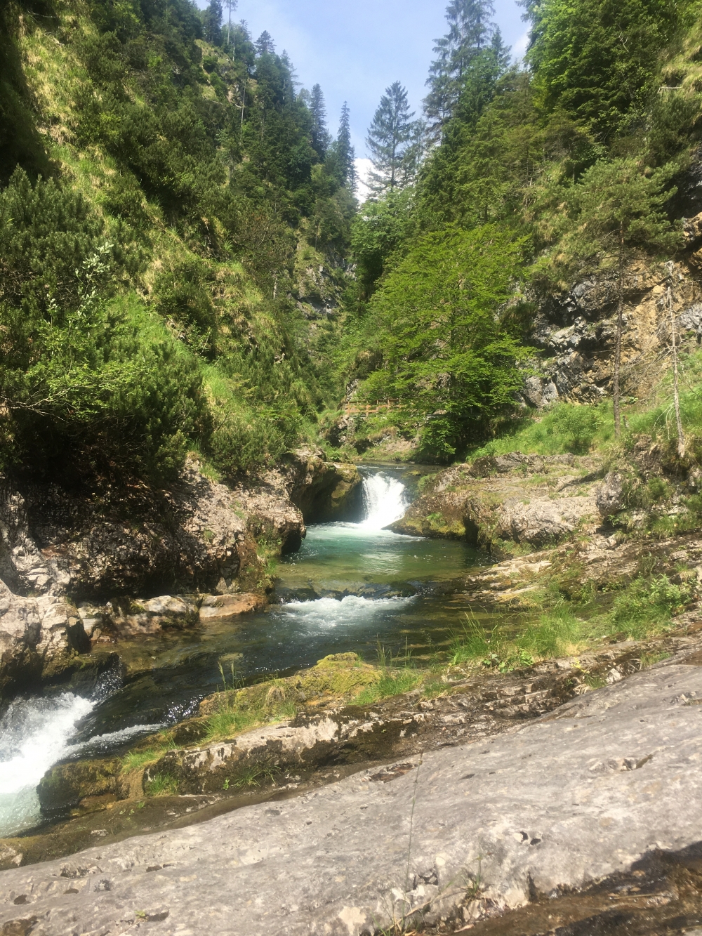 Wanderung Ristfeuchthorn: Wanderung Ristfeuchthorn: Blick durch die Weißbachschlucht (Unteres Ende Weißbachschlucht)