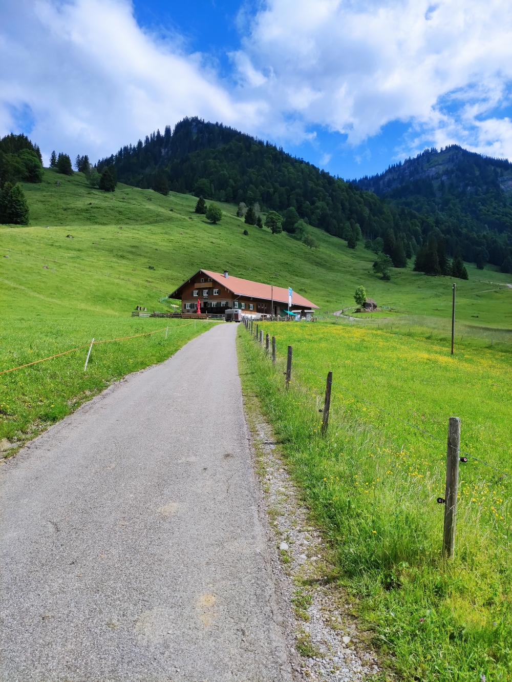Wanderung Seelekopf: Wanderung Seelekopf: Unterlauchalpe
