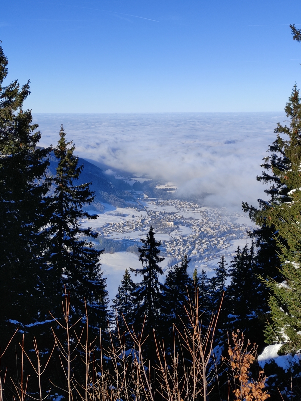 Rodeln Unternberg: Rodeln Unternberg: Blick auf Ruhpolding (Unternberg)