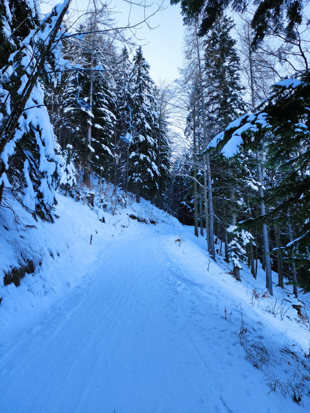 Rodeln Unternberg: Rodelbahn 