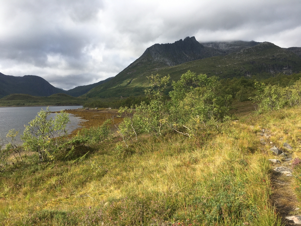 Wanderung Vatterfjordtinden: Zunächst am Fjord entlang