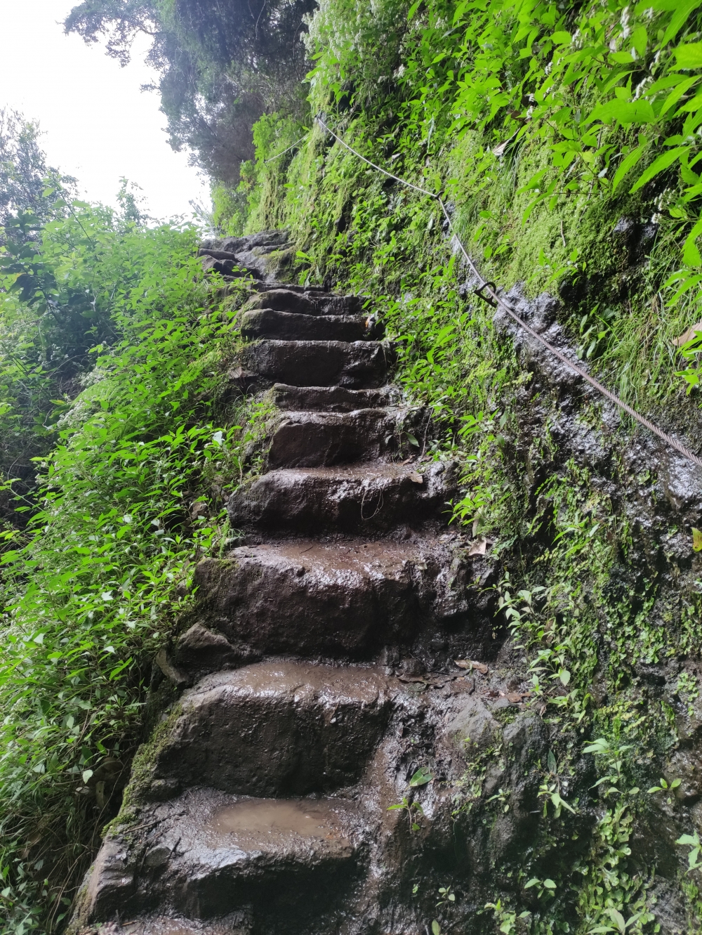 Wanderung Vereda do Larano: Auf der Vereda do Larano