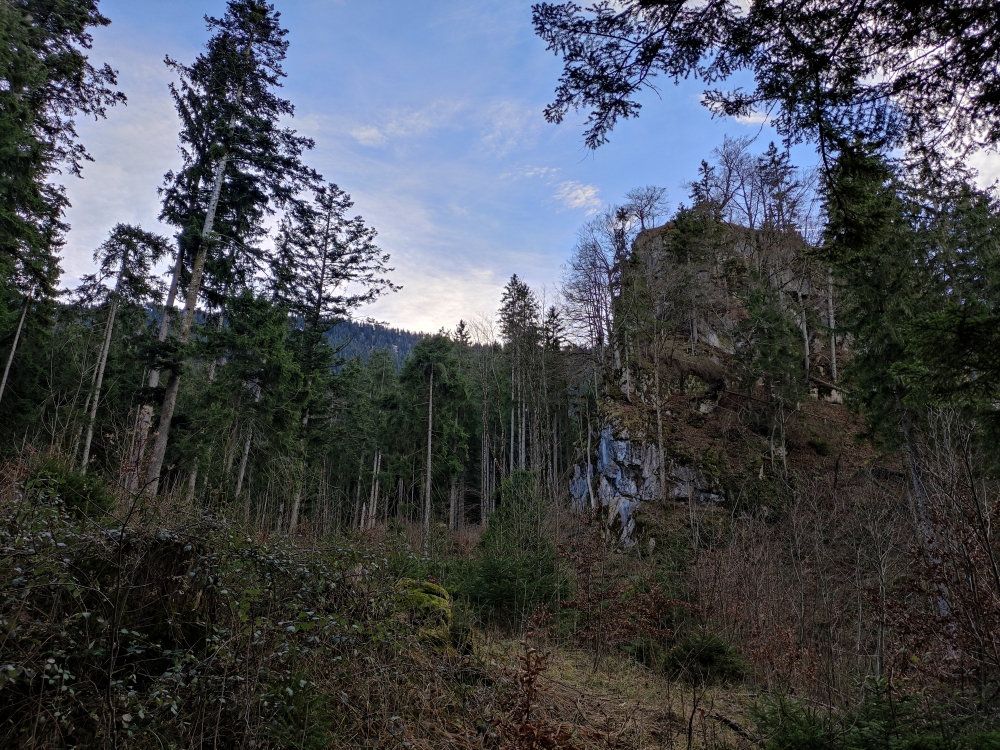 Wanderung Kleiner Illing: Die kleine, ruhige Anstiegsvariante