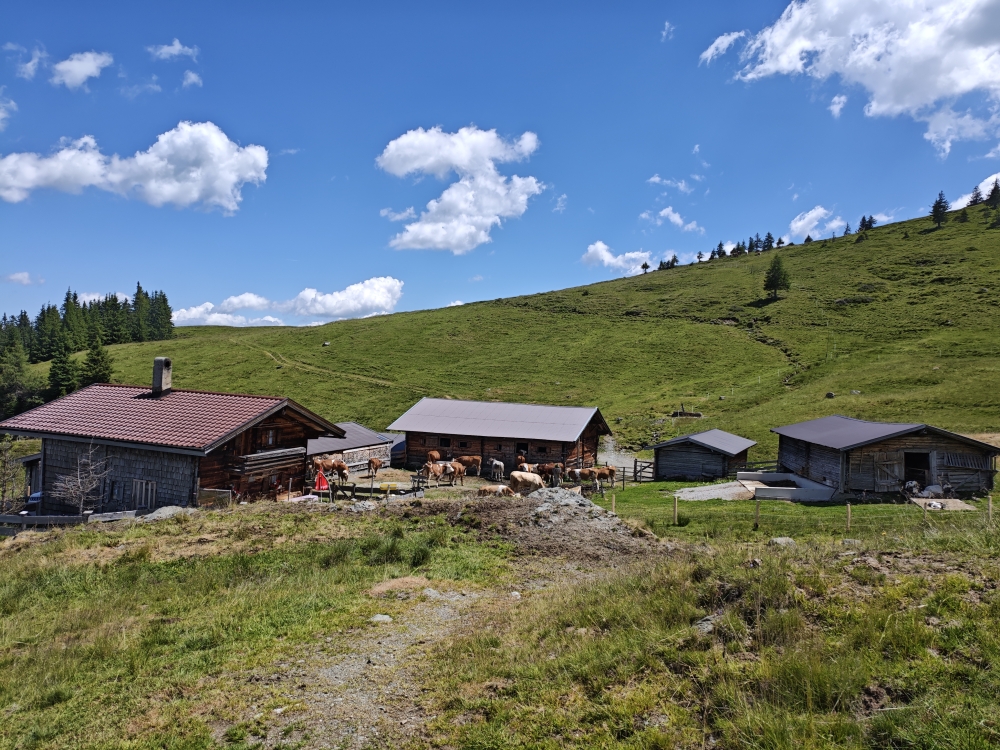 Wanderung Breiteggspitze: Wanderung Breiteggspitze: Vordere Feldalm