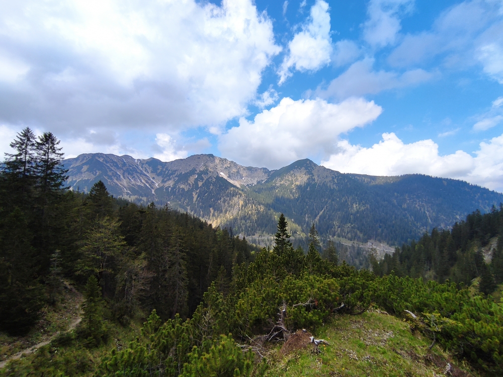 Bike & Hike Vorderer Felderkopf: Blick auf die Forststraße unter dem Mittageck