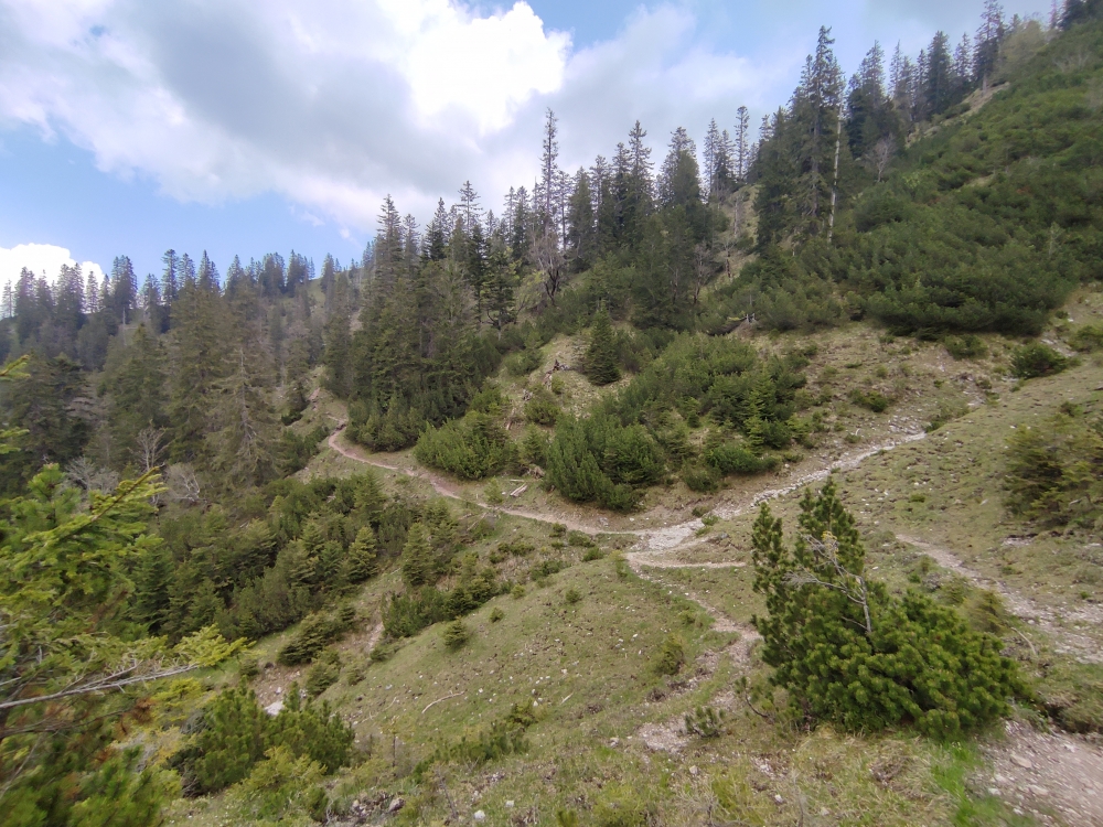 Bike & Hike Vorderer Felderkopf: Steig zum Hasenjöchl