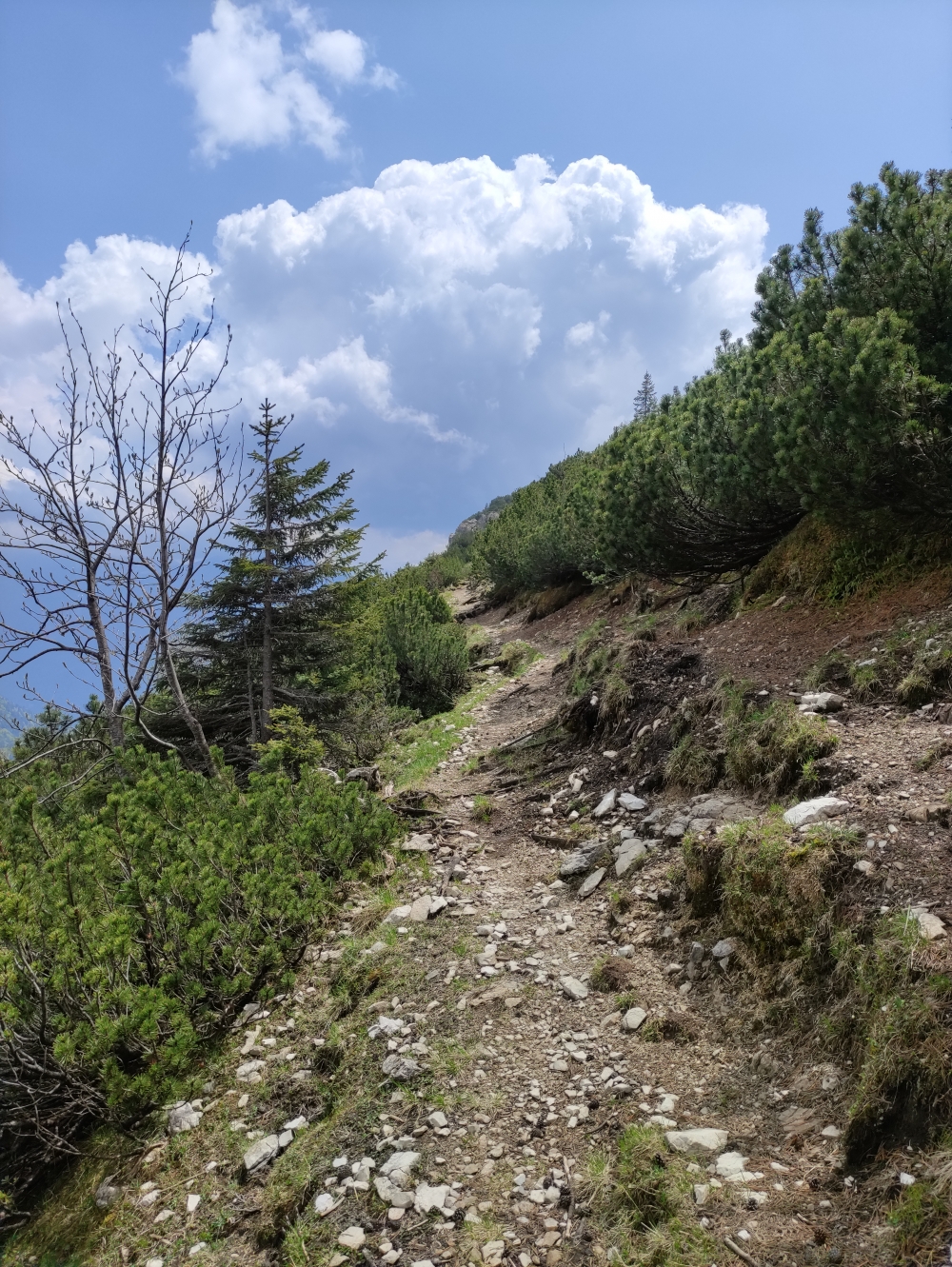 Bike & Hike Vorderer Felderkopf: Latschengasse