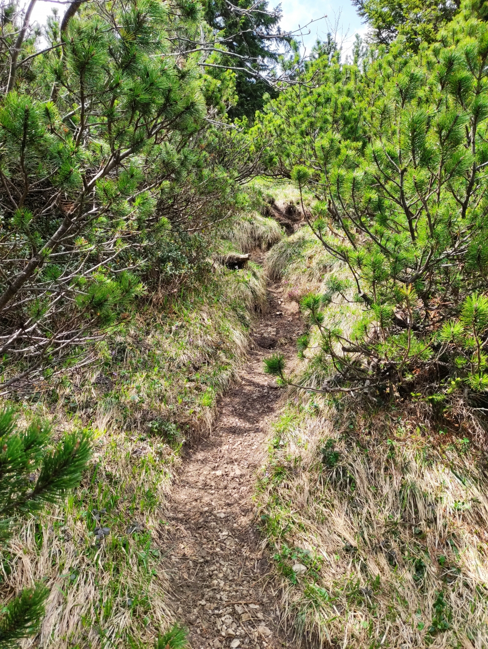 Bike & Hike Vorderer Felderkopf: Weg