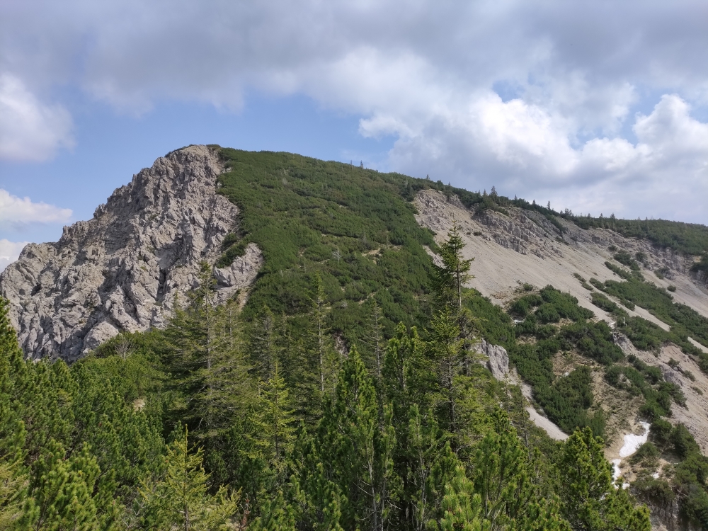Bike & Hike Vorderer Felderkopf: In Serpentinen durch die Latschen